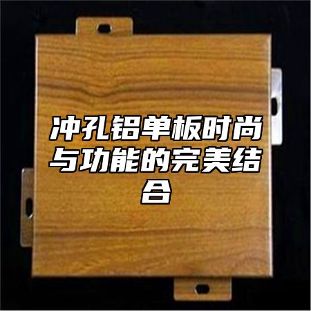 冲孔铝单板时尚与功能的完美结合