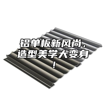 铝单板新风尚，造型美学大变身！