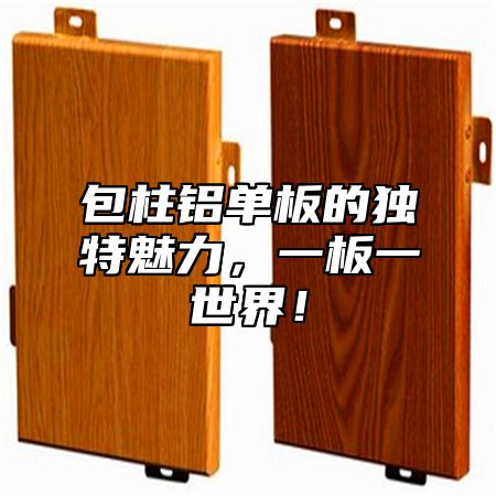 包柱铝单板的独特魅力，一板一世界！